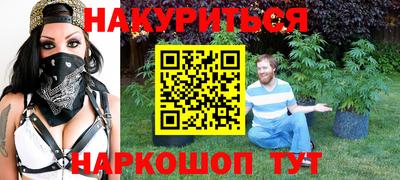 индика Можайск